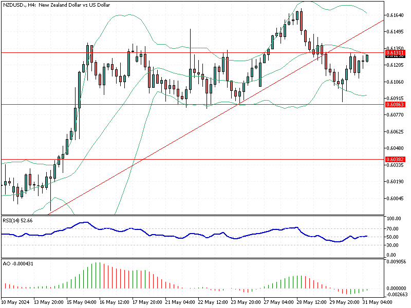 NZDUSD Fundamental Analysis - 31-May-2024